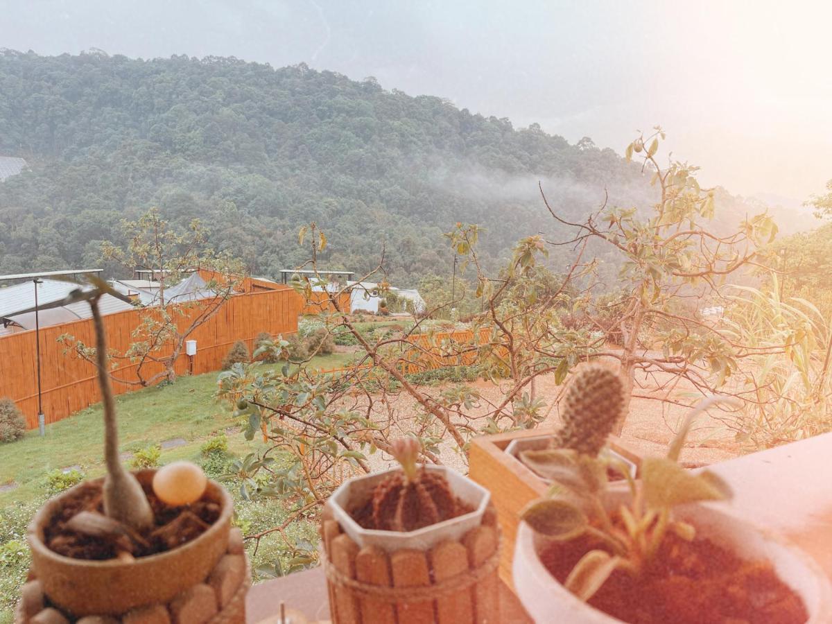 Phu Morinn Camping ม่อนแจ่ม Mon Jam Εξωτερικό φωτογραφία